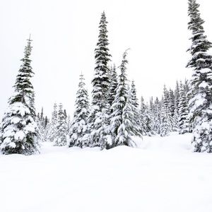 Meet your Posher, Kay